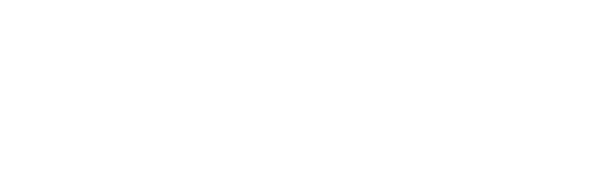 Troop 13 of Vienna, Virginia